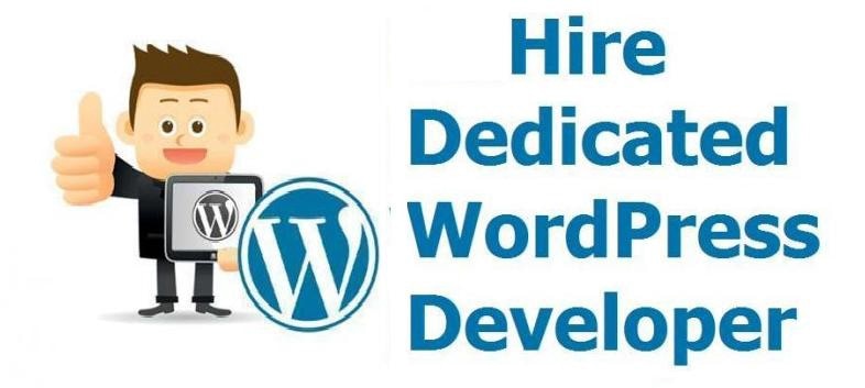Hire Dedicated WordPress Developers India